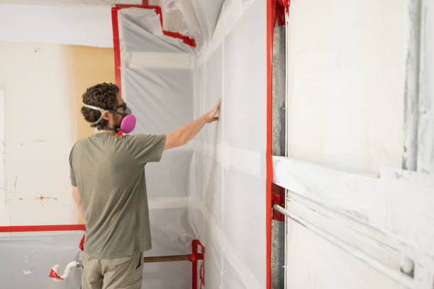 Best Environmental Consulting for Mold Prevention  in Clara City, MN