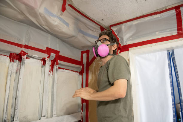 Best Real Estate Mold Inspection  in Clara City, MN