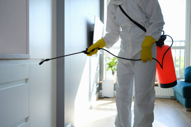 Best HVAC Mold Inspection and Cleaning  in Clara City, MN