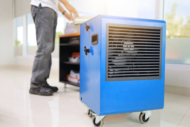 Best Mold Odor Removal Services  in Clara City, MN