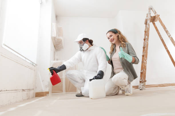 Best Black Mold Removal  in Clara City, MN