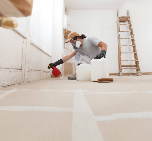 Best Biohazard Mold Removal  in Clara City, MN