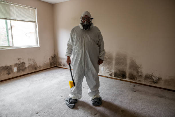 Forensic Mold Investigation in Clara City, MN